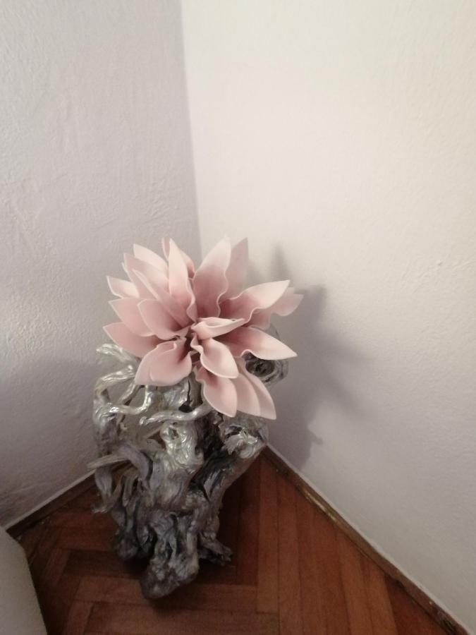 Apartmani Niki Hvar Hvar Town Dış mekan fotoğraf
